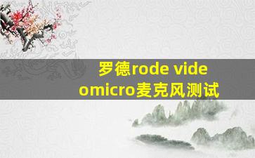 罗德rode videomicro麦克风测试